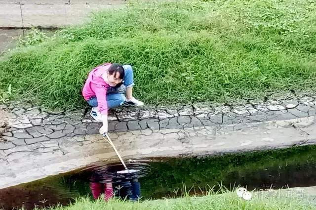 14.png