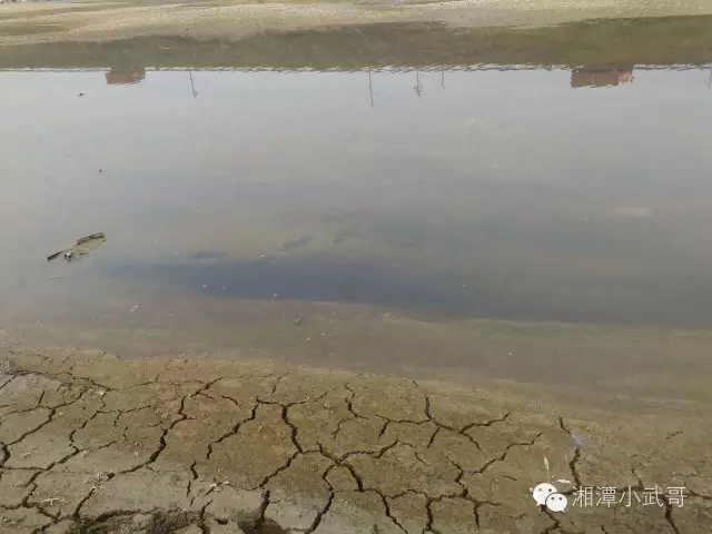 污染河流