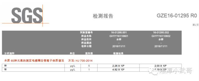 检测报告放大图1