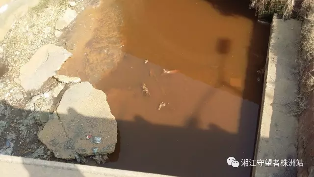 湘江污染