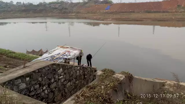微信图片_20200201121946.png