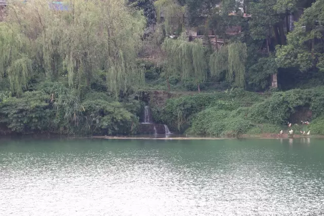 取水点正对面有一个生活污水排口正在排水