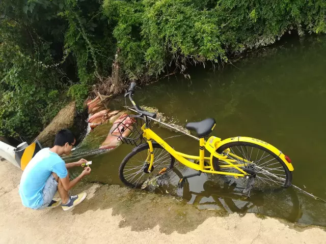 河流守望者简易检测PH值正常