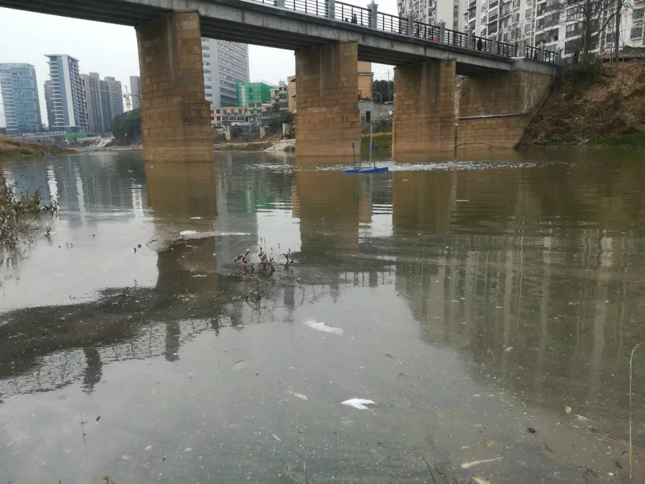 龙王港河面漂浮垃圾